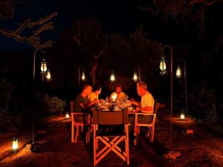 Yala Leopard Tree House - 5