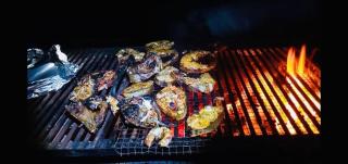 Yala Leopard Tree House - 4