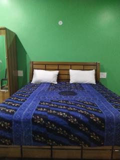 The pine view Orchard homestay - 8