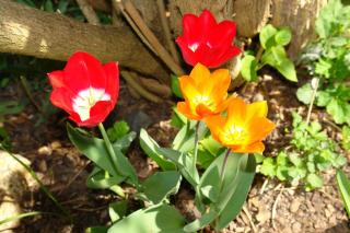 Das Spreewaldhaus - 1