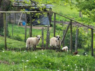 Beynat Gaston Vacation rental for 5 people - 6