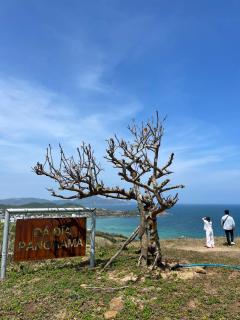 Trạm Seven Retreat House Gành Đá Đĩa - 5