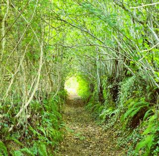 Beynat Gaston Vacation rental for 5 people - 1