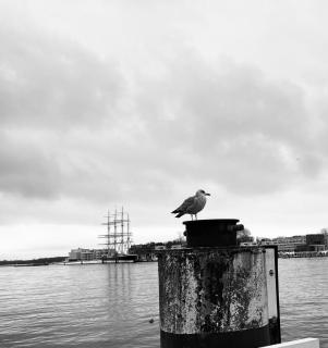 FeWo Rose 52 Travemünde - 4