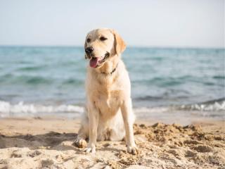 LUXURY ENCINA 57 1ST FLOOR APARTMENT SANTA ROSALIA RESORT by PREMIUM SPAIN PROPERTIES - 3