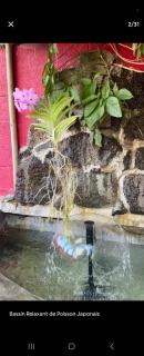 Naturelle Évasion - 6