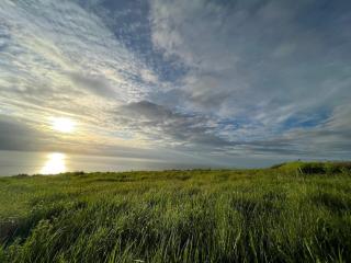 Appartement Pleine Mer - 2