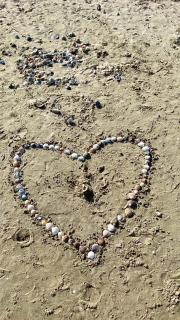 Résidence au bord de l étang de Thau - Marseillan - 6