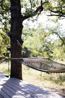 Modern Container, Pool, Nature, Wine, Hill Country - 1