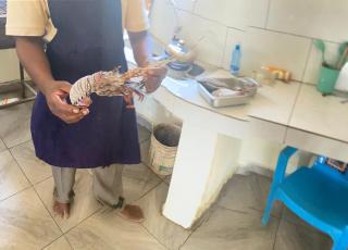 Pamito Sunny Paradise in Diani - 7