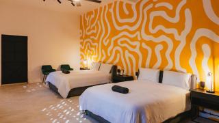 Cocoon Oaxaca City- Curated Stay In Oaxaca Centro - 7