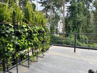 Cálida estancia a 5 min del aeropuerto JMC - 3