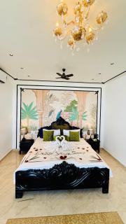 Anand valley Royal Retreat Resort - 2