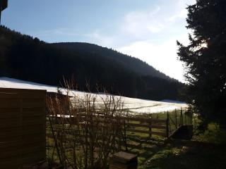 Appartement type F1 à Rochesson - 4