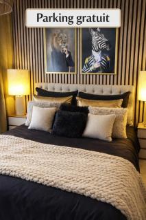 Petit Cocon des Rives Proche Stanislas-terrasse & parking gratuit - Nancy - 7