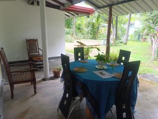 Golden Leaf house - 5