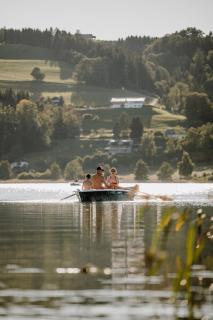 Historischer Bauernhof mit Privatbadeplatz am Irrsee - 8