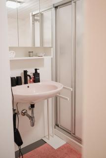 Historischer Bauernhof mit Privatbadeplatz am Irrsee - 3