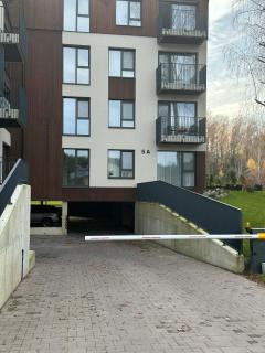 Holiday home in Birstonas - 1