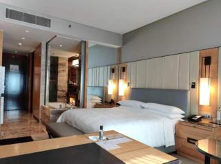 Hotel EL DE Seven Inn New Delhi IGI Airport - 1