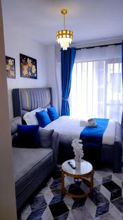 Fully furnished Studio at Tsavo Thindigua Kiambu rd - 0