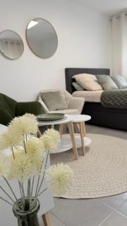 Komfort-Apartment für Geschäfts- & Städtereisen - 8