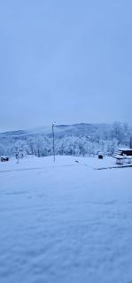 Zen Resort and Winery - 0