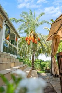 Villa Karo Coco - 6 voyageurs - 3