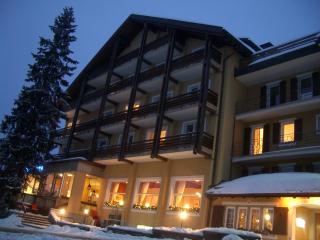 Hotel Alpina Parpan - 9