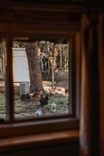 Sky Cabin. Cosy Forest Log Cabin 3 night minimum - 5