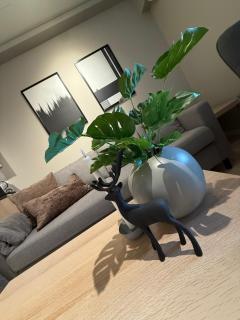 Nice one bedroom apartment in Eidkjosen - 4