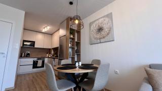 Rumy Apartment with parking space - 7