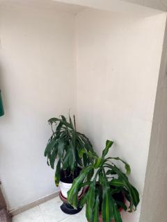 Hotel y Restaurante Los Almendros - 9