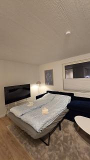 Modern Arctic Retreat with Stunning Mountain Views - 4