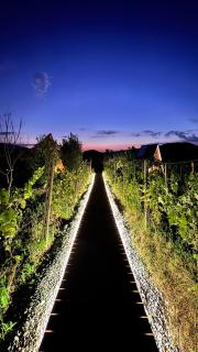 Funky Cabins Glamping and Chalets - 5