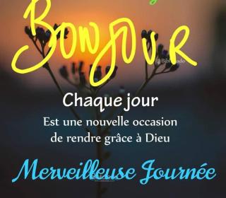 Maison résidence Reine Ndatte Yalla Mbodh - 5