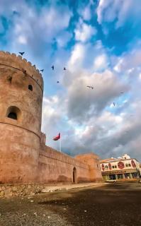 عريش ماجد بيت بالكامل Full House - 9