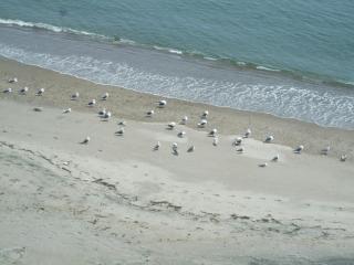 Seaside Hotel Kamome - Hakodate - 3