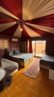 elan luxury camp - 0