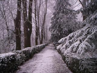 Charming Castle Stay, Robella - 6