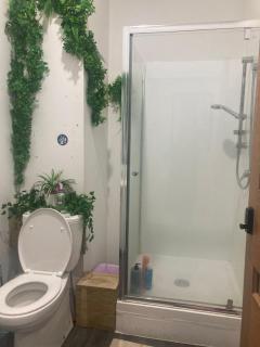 Single bussiness room - 6