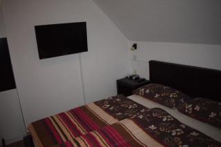 Apartment Borovnica - Moravske Toplice - 8