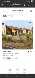 oak and olive farms - 2