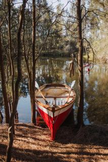 Red Door Collective - RDC Vineyard Estate, Luxury Adult Only Stay - Pokolbin - 2