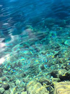 Mare`s House Private Apartment with Pool - 8