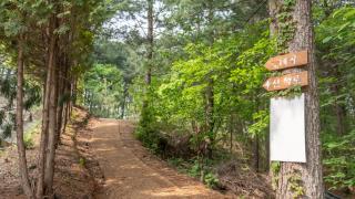 Hoengseong Withpet Village - 3