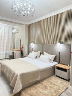 Двухкомнатная квартира в центре Шымкента - 6