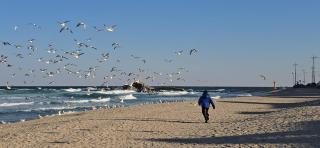 Gangneung Dive In - 8