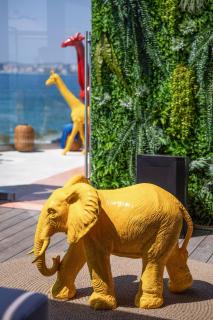 Hotel Vlora Priam Affiliated by Meliá - 8