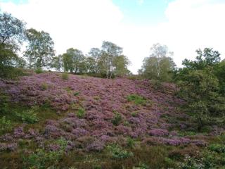 8 person holiday home in Gjern-By Traum - 1